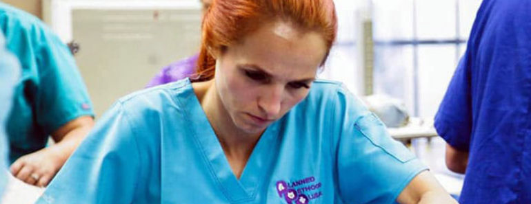 Dr. Jeff Young's wife, Dr. Petra Mickova Wikipedia Biography.