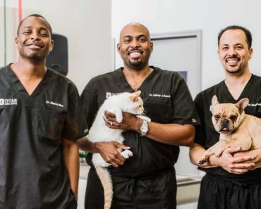 The Reality show, "The Vet Life" Cast, Canceled and Lawsuit.