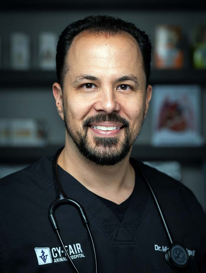 Dr. Michael Lavigne