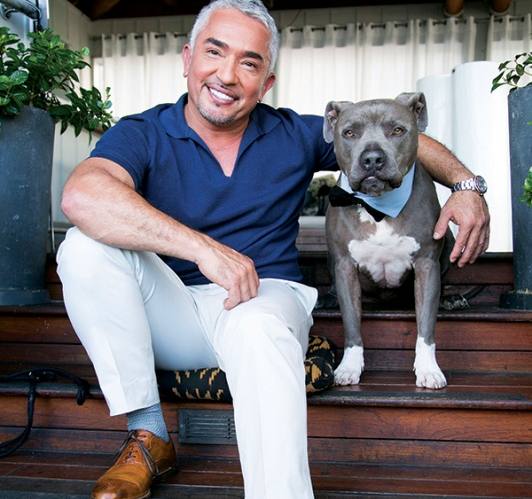 Famous Dog Trainer Cesar Millan talks about Dog Barking Control