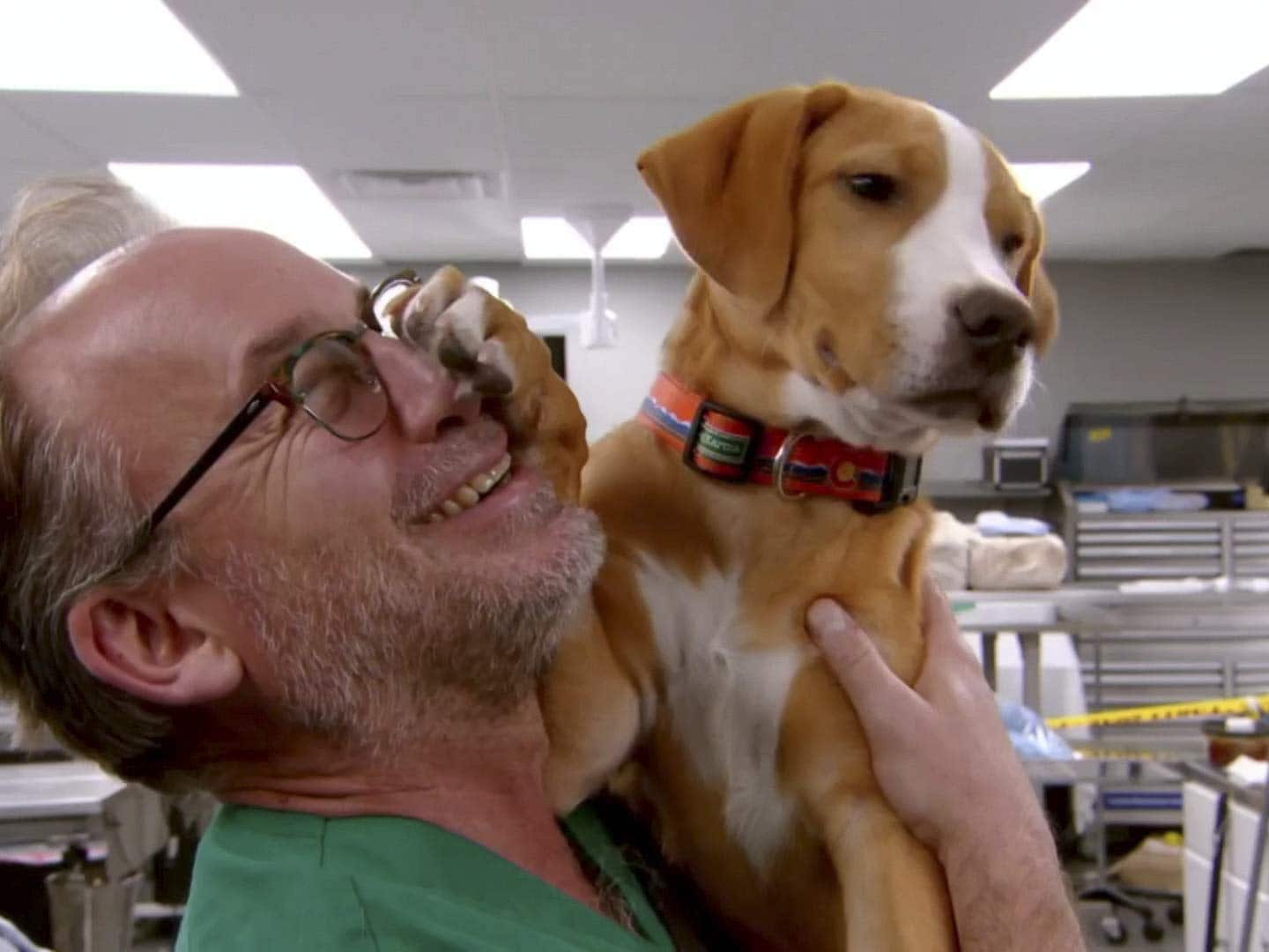 Image of Dr. Jeff Baier when he returned to the vet care clinic