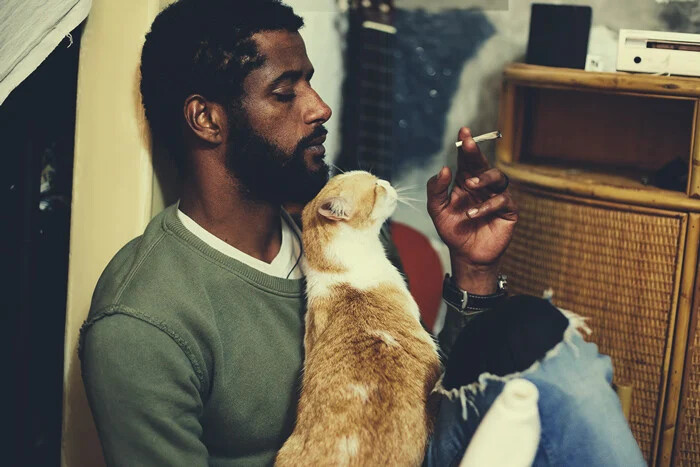 Image of Cats Second Hand Smoke