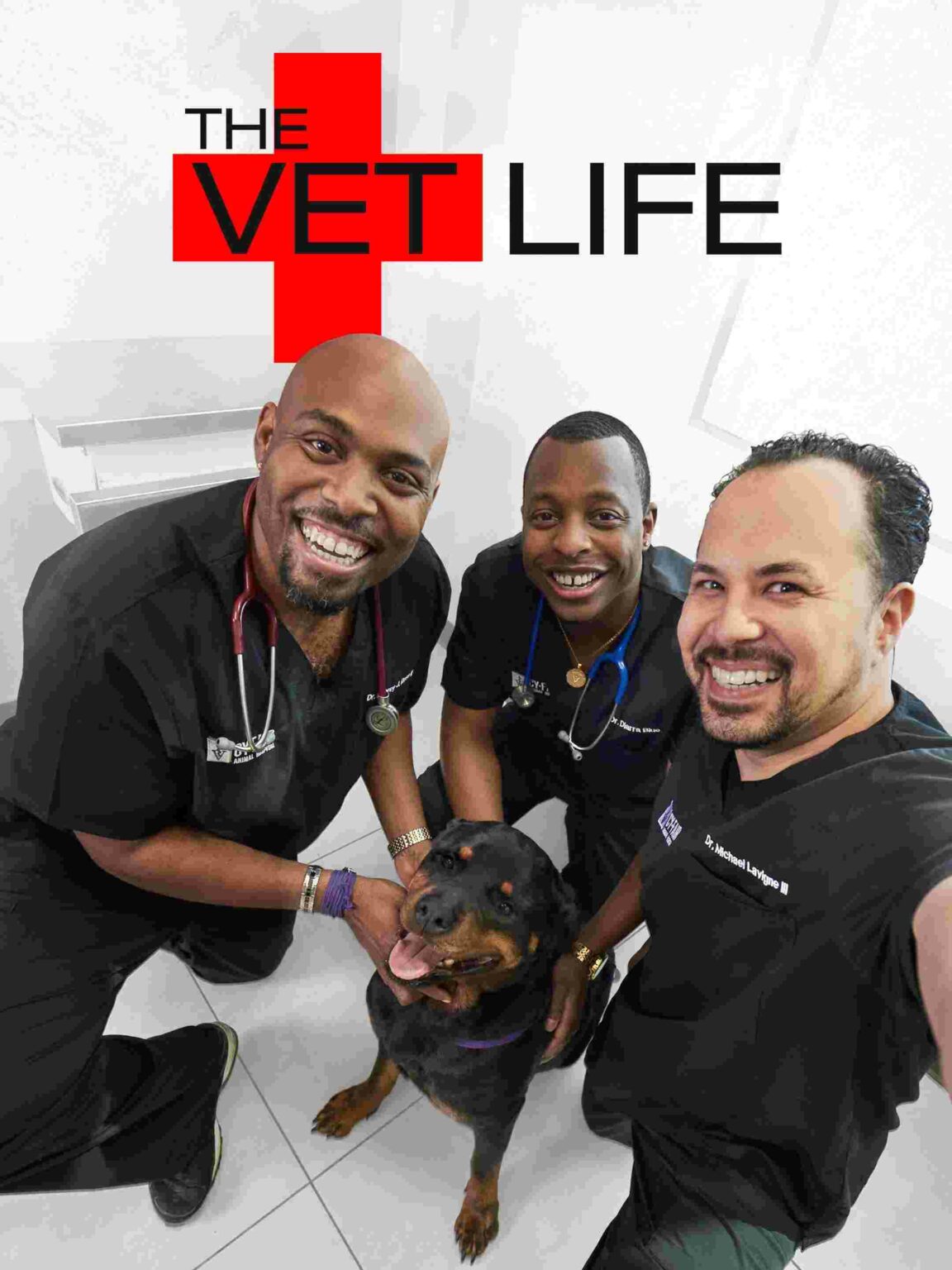Vet Shows 11 Must Watch TV Shows for Pet Owners/Lovers Vetshows.