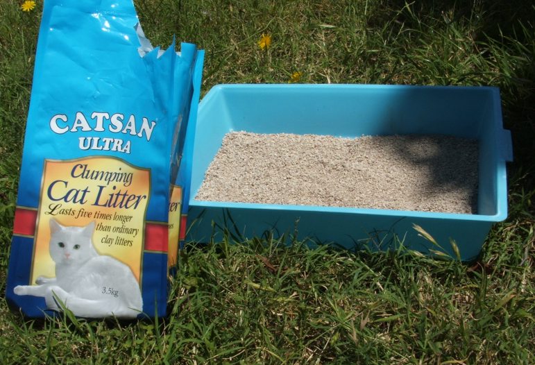 Image of Kitty Litter