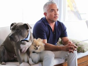 What is Cesar Millan Doing Now? Where Is He? - Vetshows.