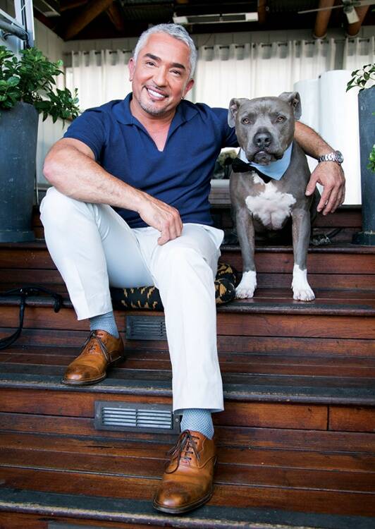 Image of Cesar Millan with a dog